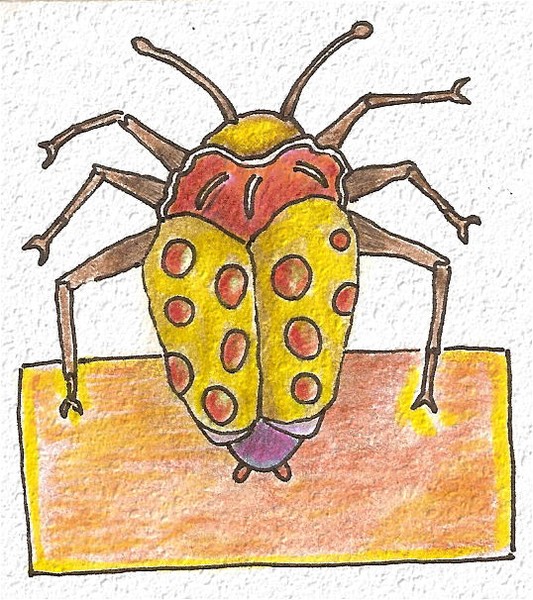 Bug #2