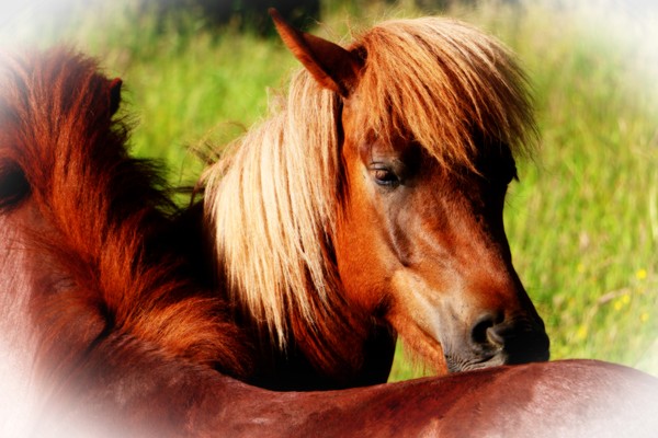 Scratch My Back-0554