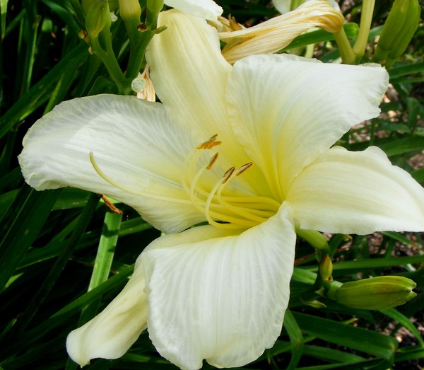 Perfect_Passion_1