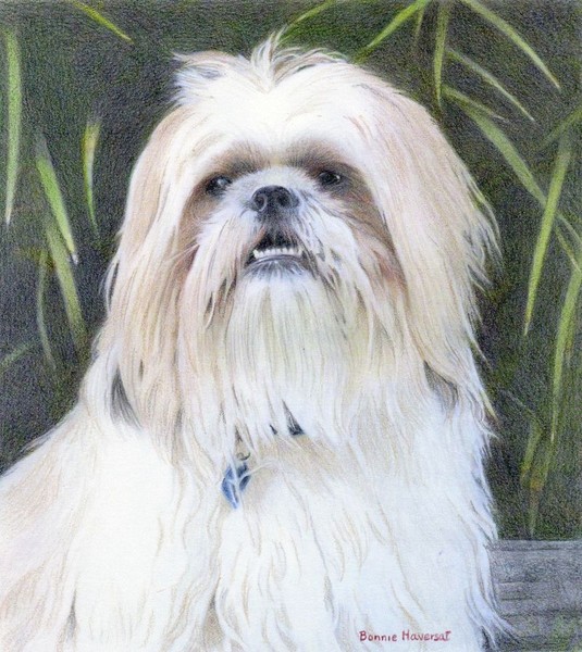 Gus