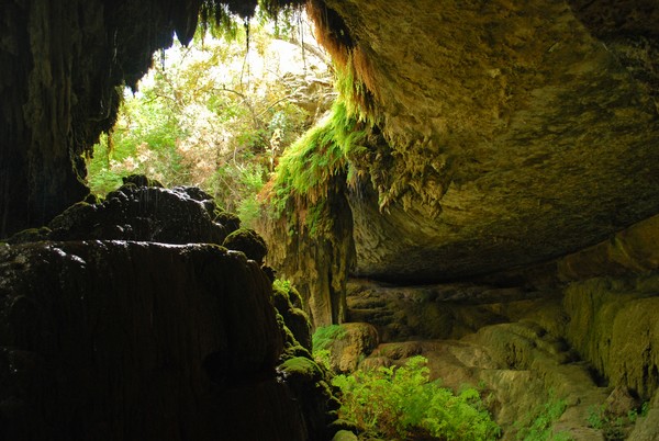 The Cave