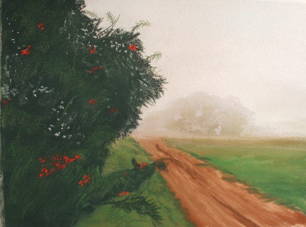 Foggy Midwest Morning