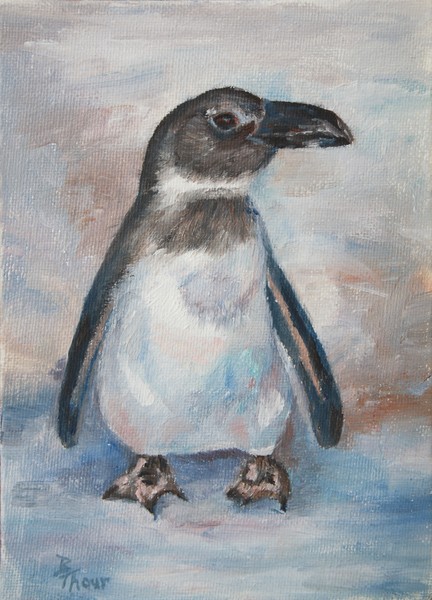 Chilly Little Penguin