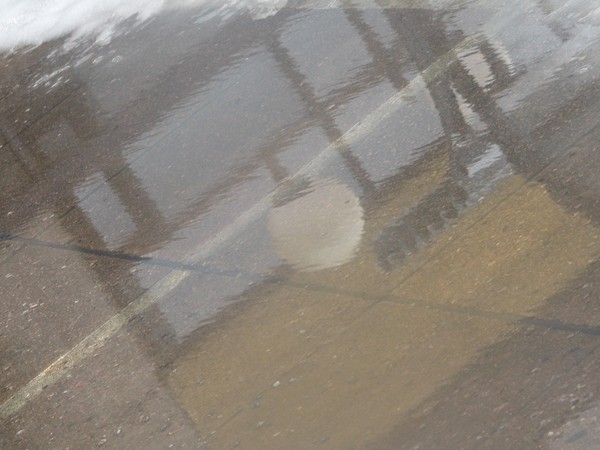 SINGLE ONE..REFLECTION IN CITY