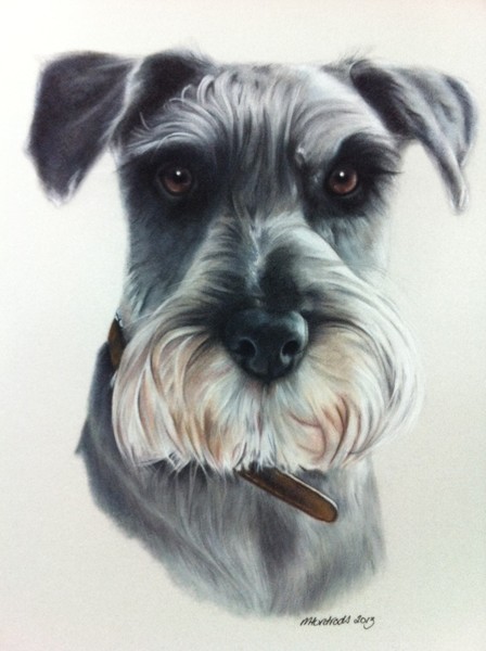Jack the Schnauzer