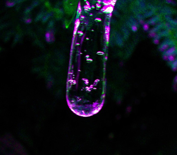 purple ice