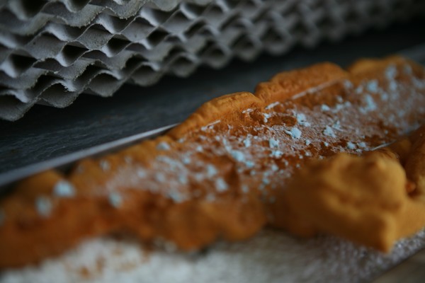 fried dough. 