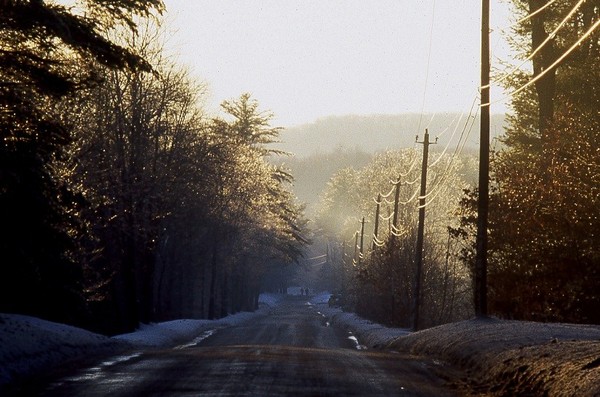 Town Forest Road after ice storm