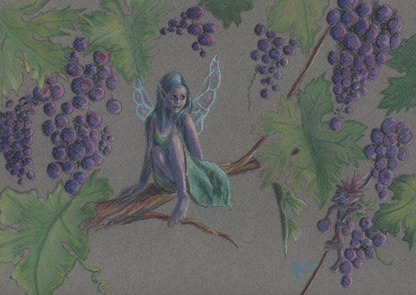 Freddy the Tendrellyte finds a Fairy