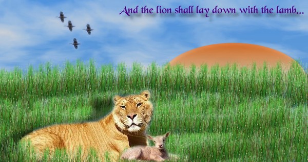 Lion & Lamb
