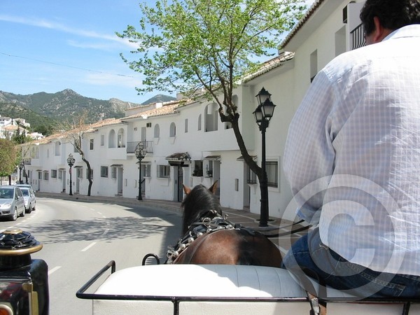 Mijas.Buggy.Ride