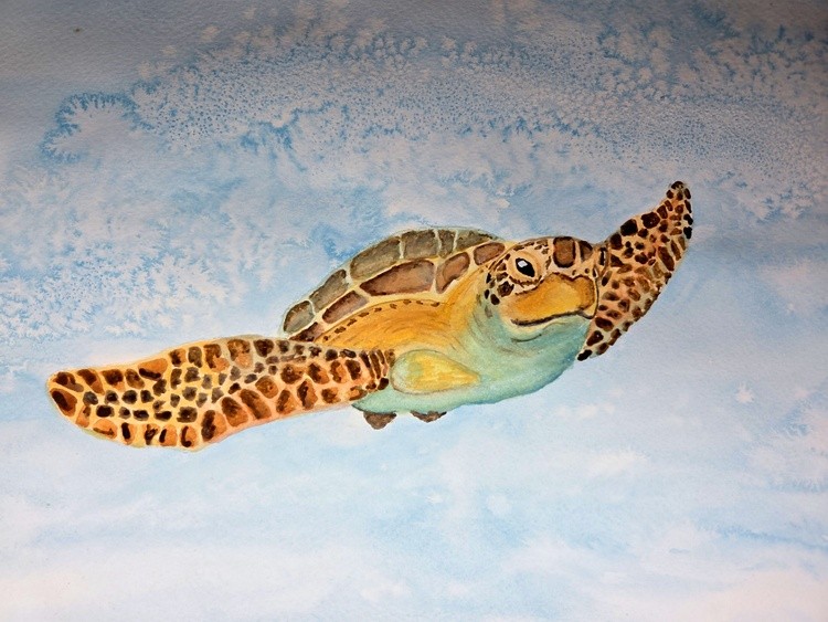 Sea turtle watercolor