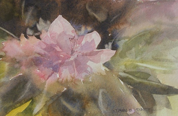Imaginary Blooms