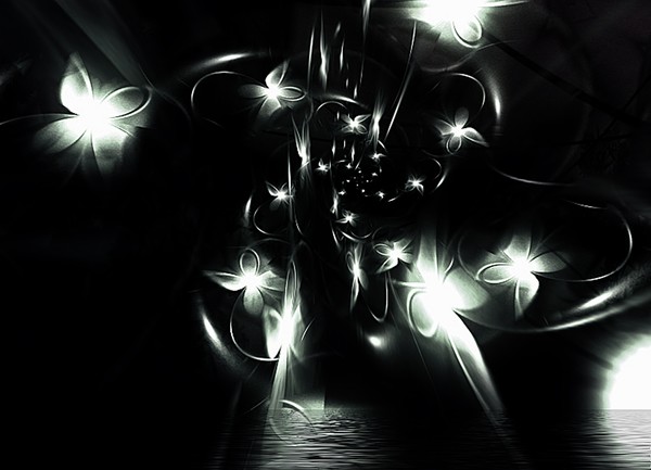 Night Butterflies