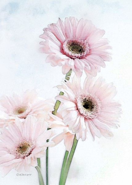 A touch of Pink
