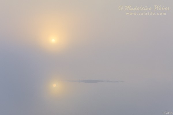 • Mystical Sun Reflection