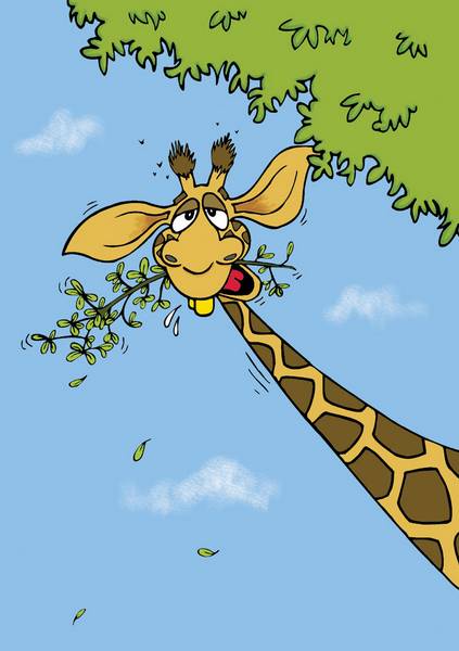 Seb the Giraffe