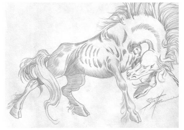 Unicorn