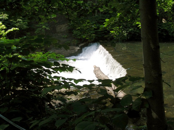 Waterfall on the Bronx River, NYC