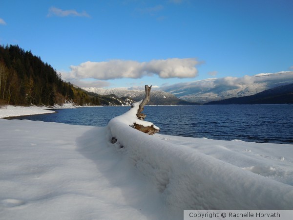 Shuswap in the winter