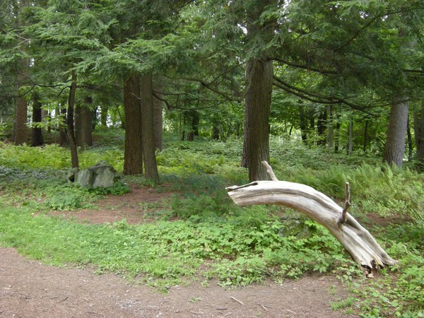 Yaddo