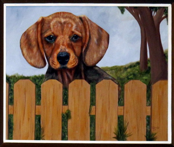 DOXIE BEHIND FENCE