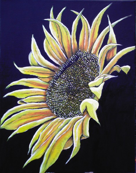 Sunflower Show