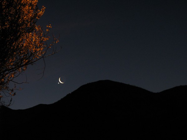 Morning Moon