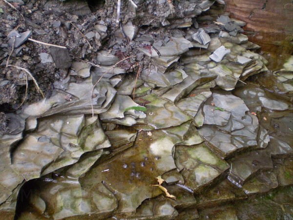 Effects of Water