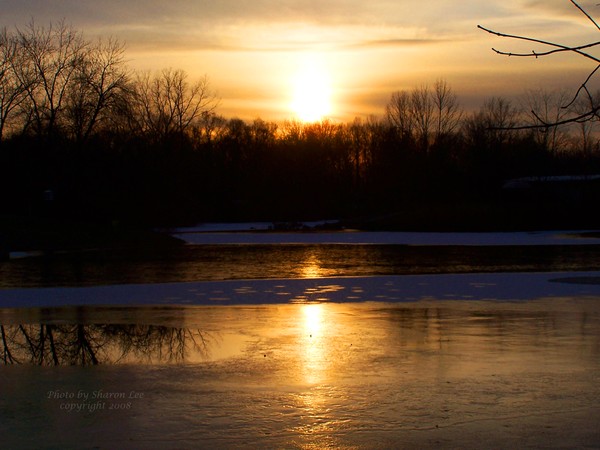 The peacefulness of a winter pond