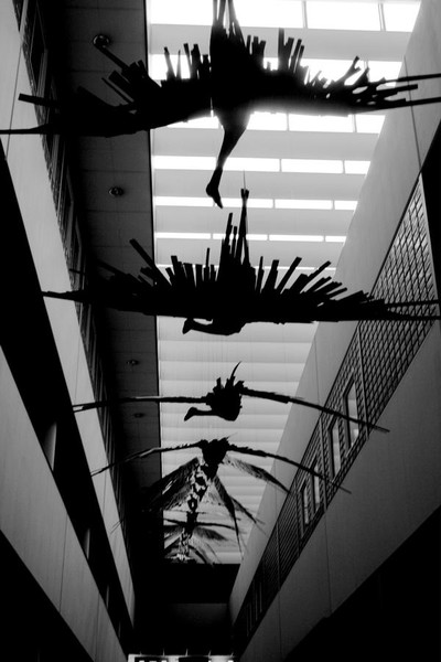 black birds to shook down on a white bride