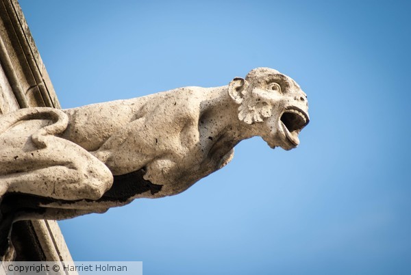 Gargoyle Parisienne 1