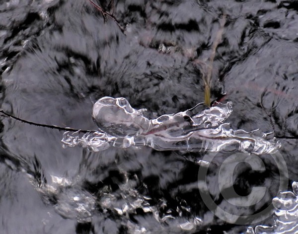 Iceman does the Backstroke!