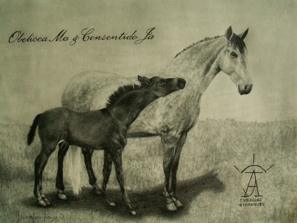 Mother and son Spanish Horses