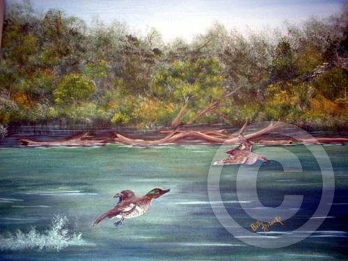 elkriver