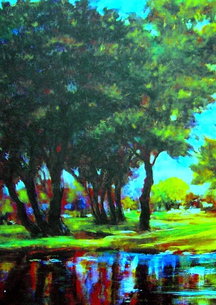 Duck Pond