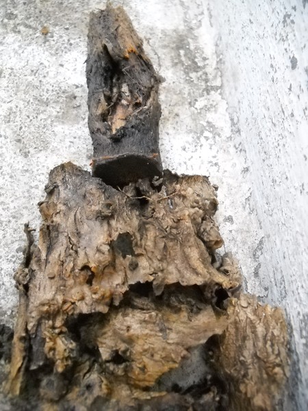 Collage Sculpture