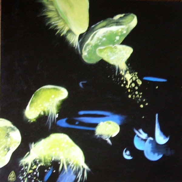 AQUA GARDEN 10