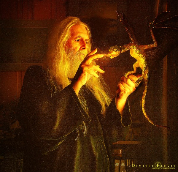 the Wizard