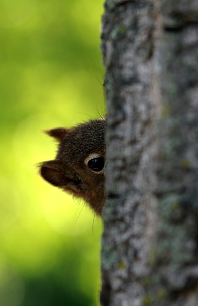 A Little Nervous