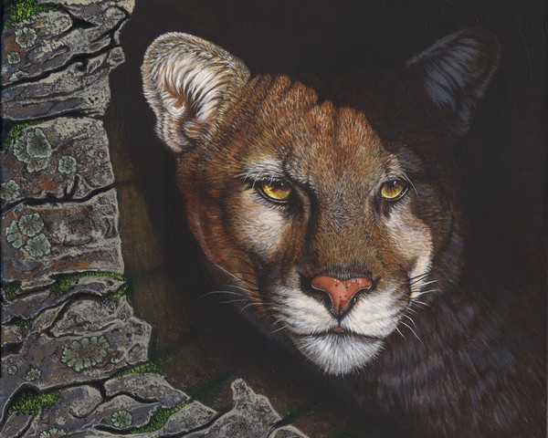 Hunter's Stare