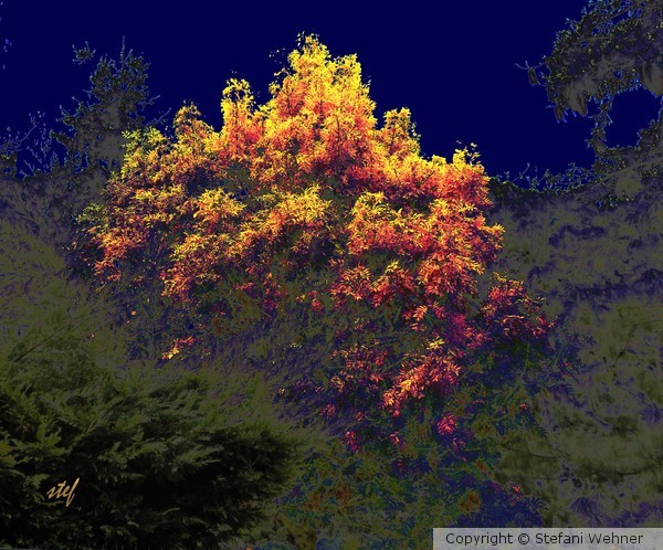 golden tree