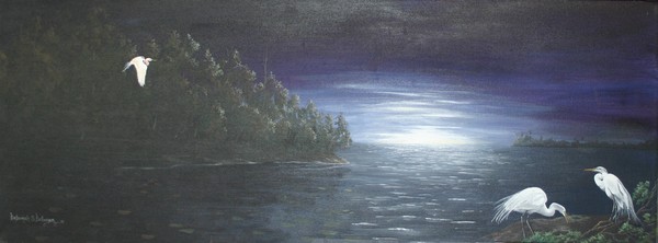 Sunset At Guana Preserve