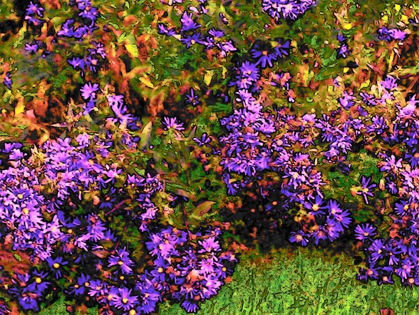 Jewels of the earth