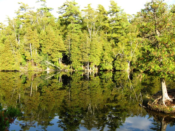 Rockwood Nature Area