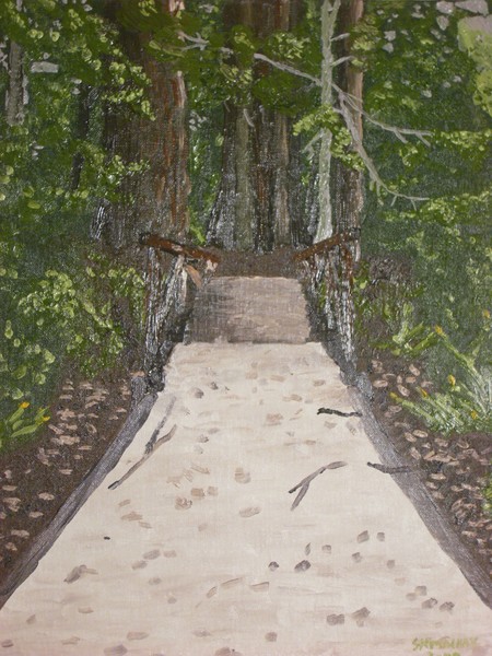 Redwoods