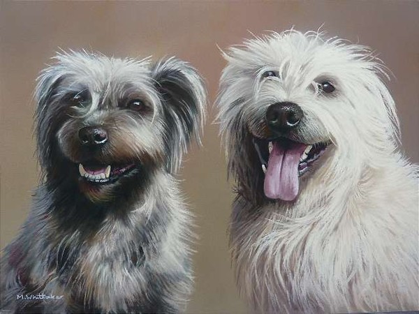 Molly & Finan