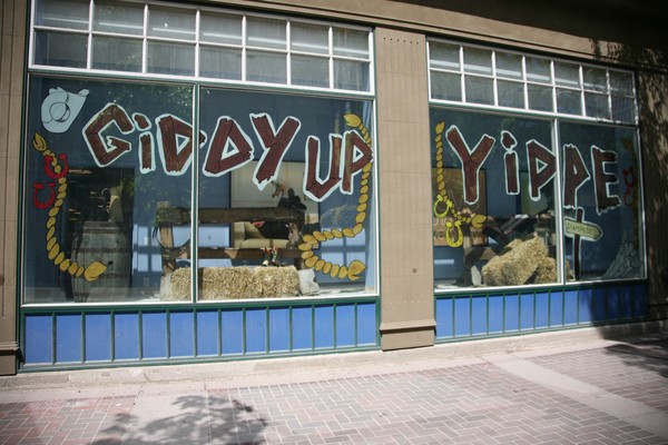 stampede yahoo