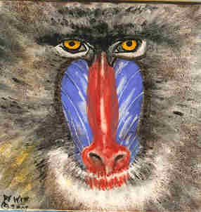 Mandrill