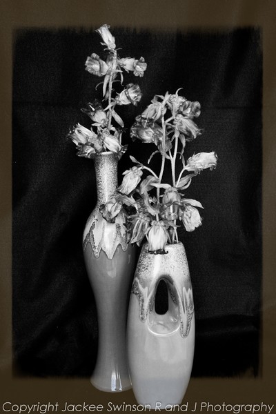 Vases